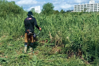 清掃・環境美化2